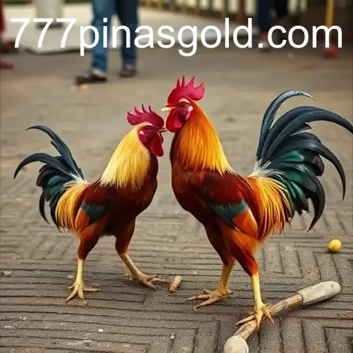 The Controversial Tradition of Cockfighting: Culture versus Cruelty